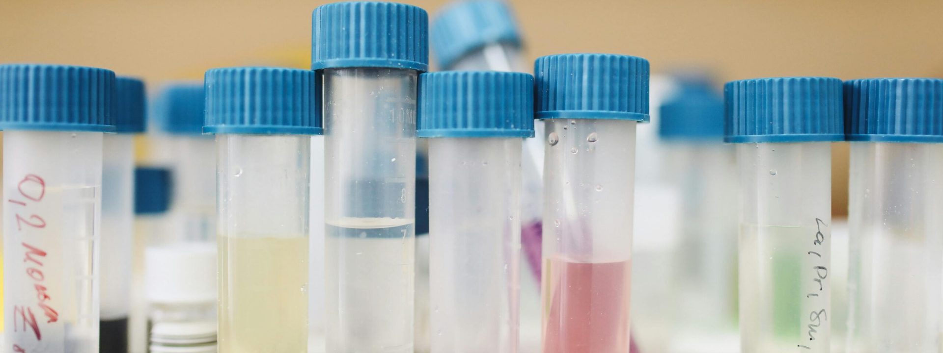 pexels-polina-tankilevitch-3735699